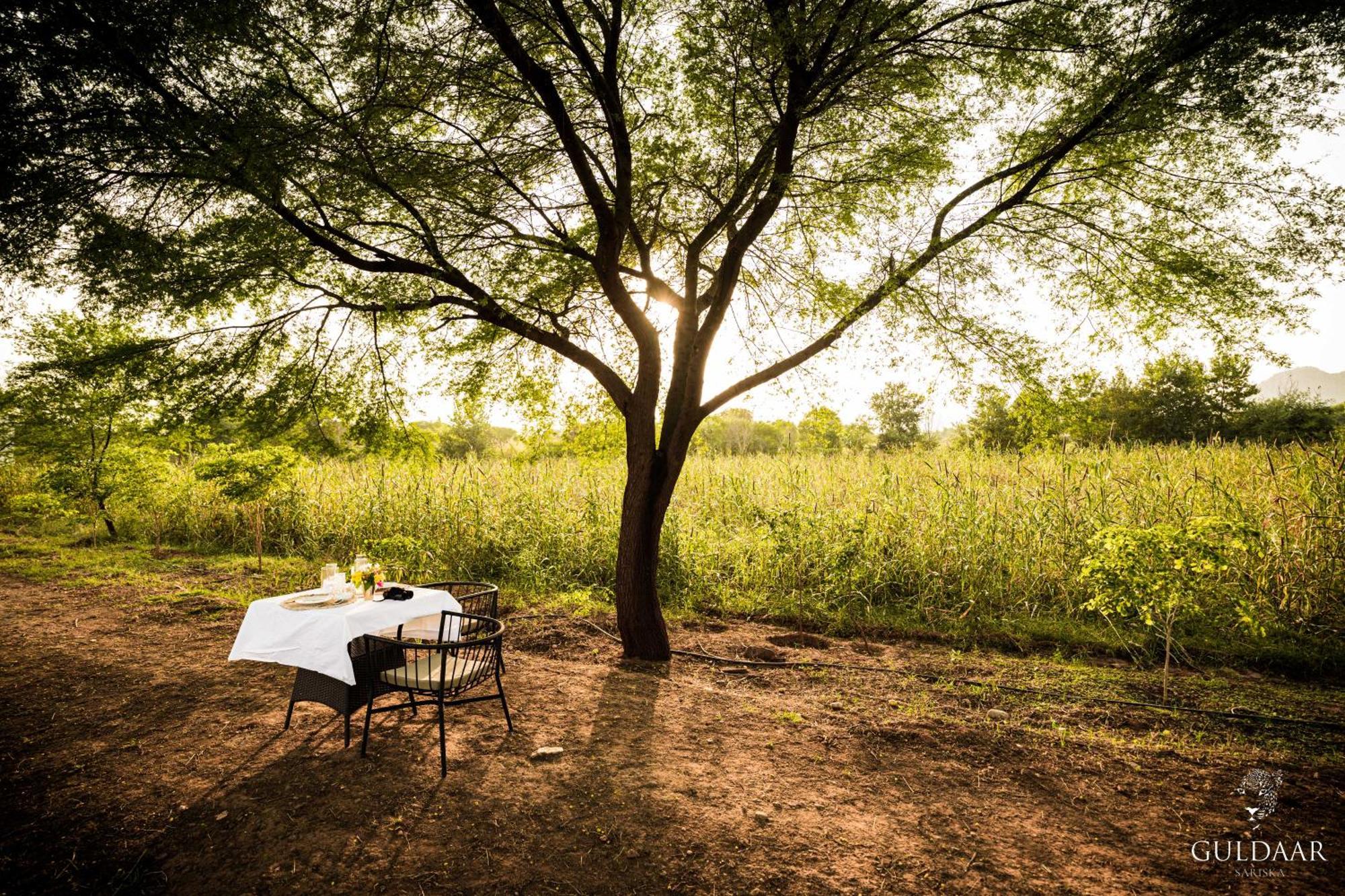 Guldaar Sariska - A Luxury Forest Resort Tehla 外观 照片